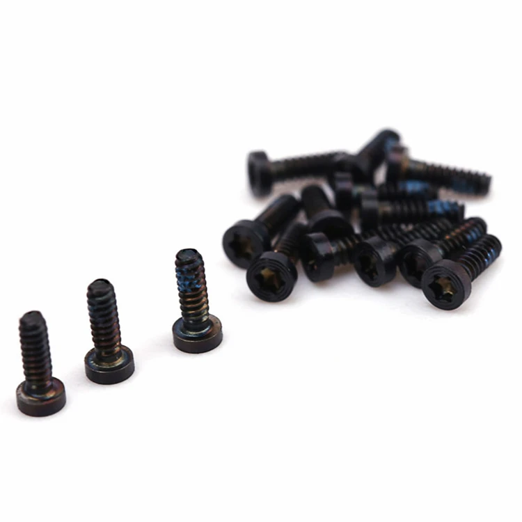 Mini torx screw 2